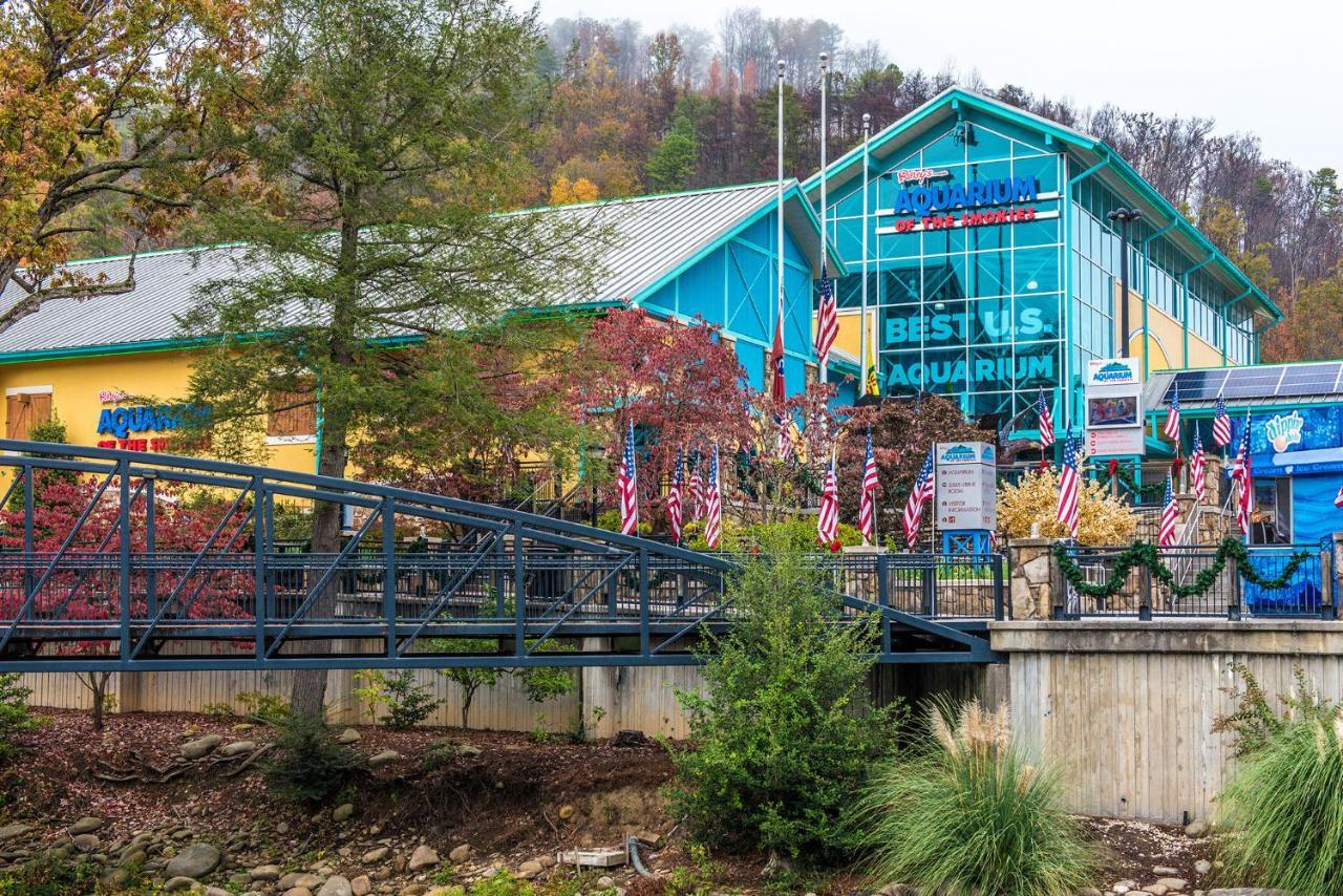 Cabin Of Dreams, 3 Bedroom Water View, Wifi, Hot Tub, Pool Table, Sleep 8 Sevierville Bagian luar foto